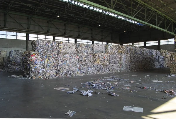 Kağıt ve selüloz fabrikası - yeniden işleyip kullanı kağıt — Stok fotoğraf