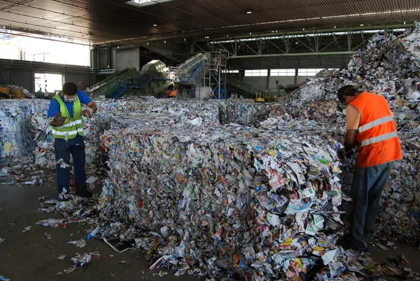 Fábrica de papel y celulosa - Fábrica de papel y celulosa - Papel reciclado —  Fotos de Stock