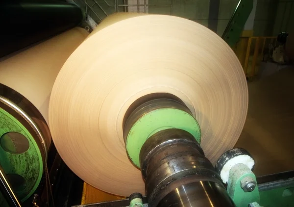 Papír és a pép mill - gyár, üzem — Stock Fotó