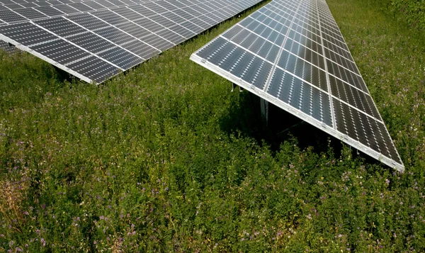Renewable energy: solar panels — Stock Photo, Image