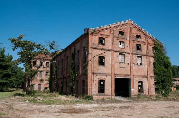 Παλιό εργοστάσιο αχλαδιάς — Φωτογραφία Αρχείου