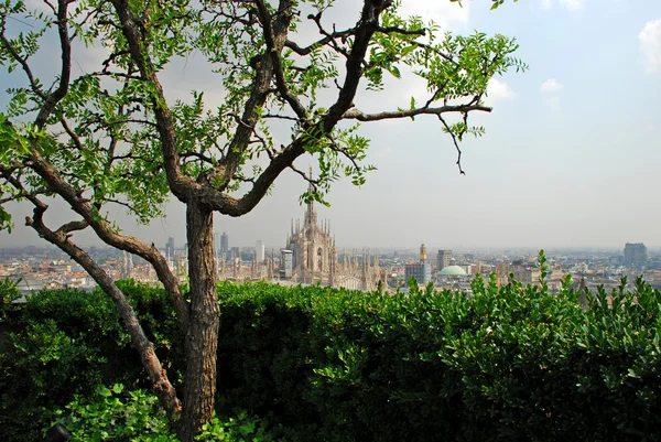 Catedral de Milão vista por um jardim suspenso — Fotografia de Stock