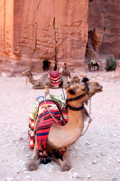 Petra, ciudad rocosa perdida de Jordania —  Fotos de Stock