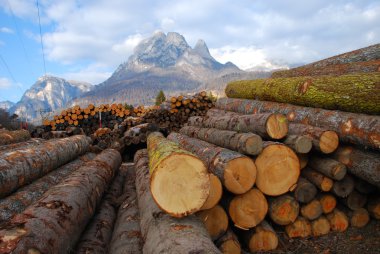 Pile of log - Dolomites clipart
