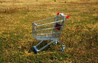 carrito roto en la naturaleza