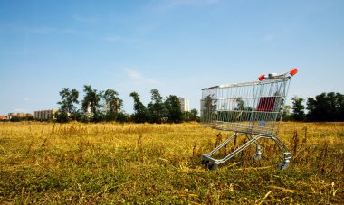 Broken shopping cart in the nature clipart