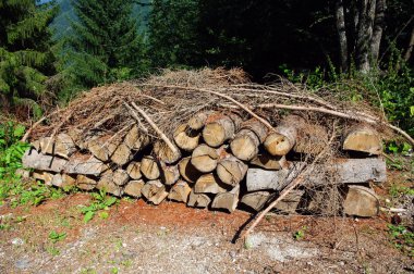 woodpile dolomites içinde