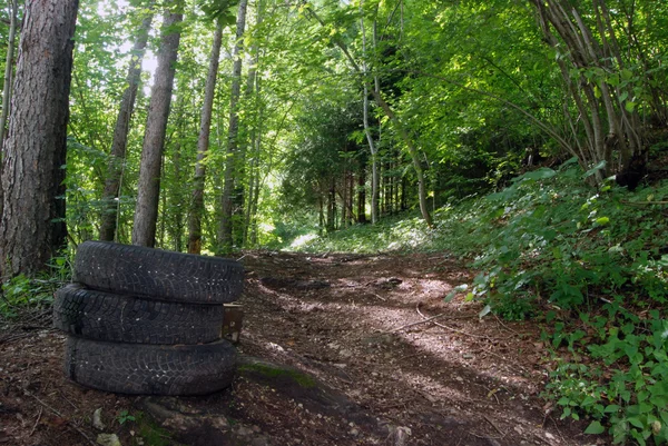 Neumáticos en el bosque: daños ecológicos —  Fotos de Stock