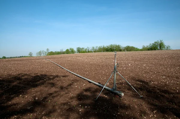 Irrigation on a wheat field — Stock Photo, Image