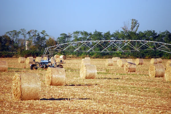 Nawadniania na polu pszenicy — Zdjęcie stockowe