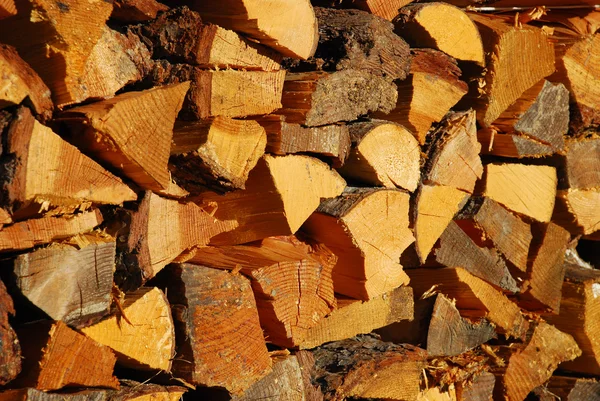 Pile of log - Dolomites — Stock Photo, Image