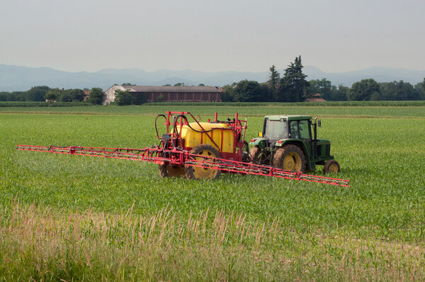 Irrigation with tractor on a wheat field
