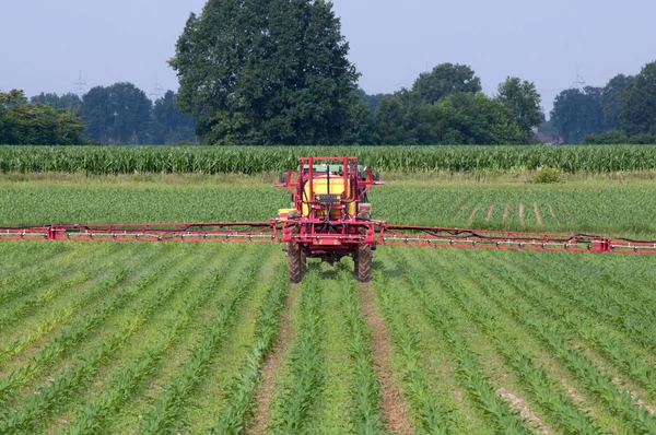 Irrigazione con trattore su campo di grano — Foto Stock