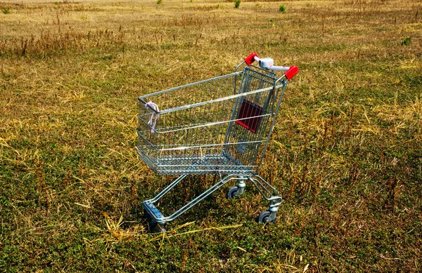 Nefunkční nákupního košíku v přírodě — Stock fotografie