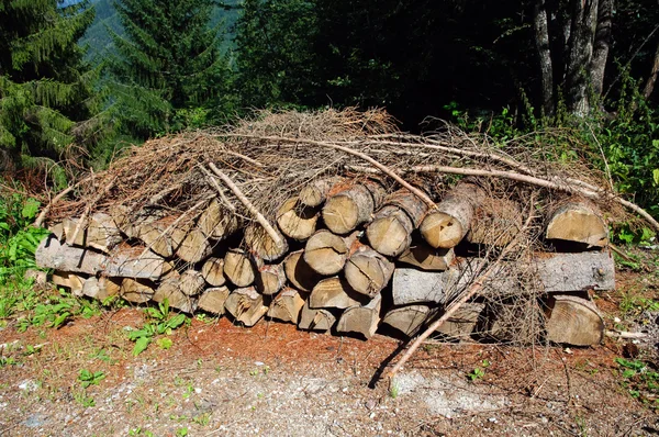 Woodpile in the Dolomites — Stock Photo, Image
