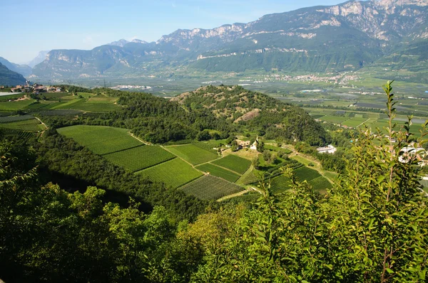Paisagem Trentino Alto Adige. Vista panorâmica de uma fazenda — Fotografia de Stock