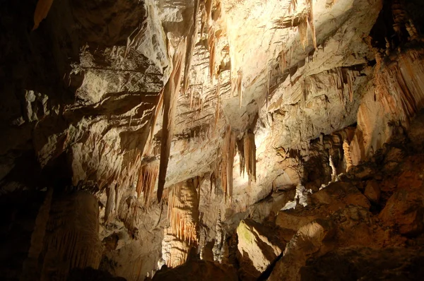 Grotte de Postojna — Photo
