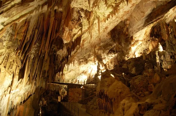 Postojna Mağarası — Stok fotoğraf