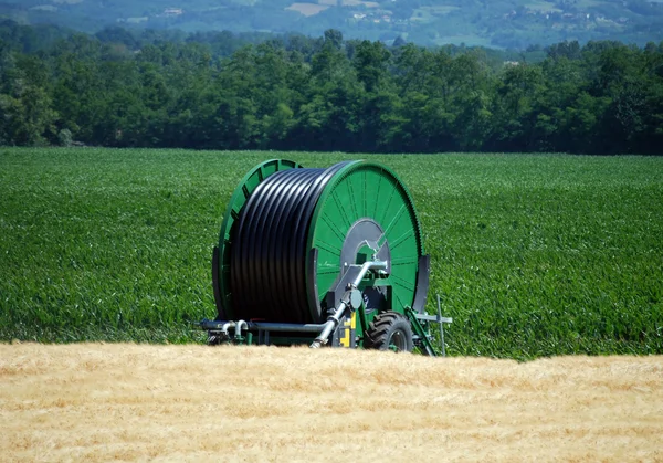 Irrigation sur un champ de blé — Photo