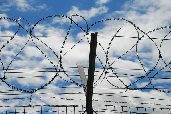 Barbed wire and sky — Stock Photo, Image