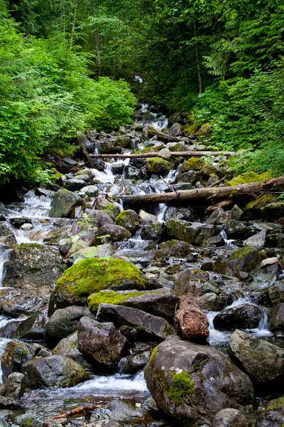 Mountainside Stream — Stock Photo, Image