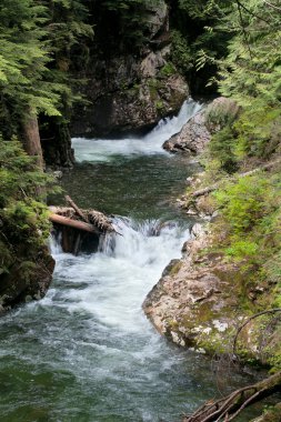 Franklin, denny creek, snoqualmie orman düşüyor