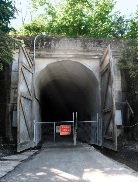 Snoqualmie demiryolu tüneli — Stok fotoğraf