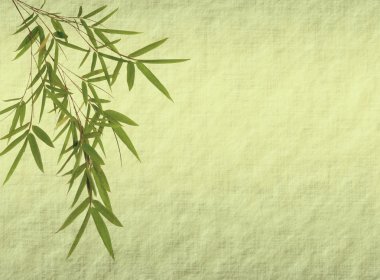 Design of chinese bamboo trees with texture of handmade paper clipart