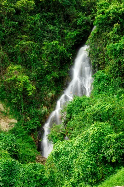 Wasserfall im Nationalpark — Stockfoto