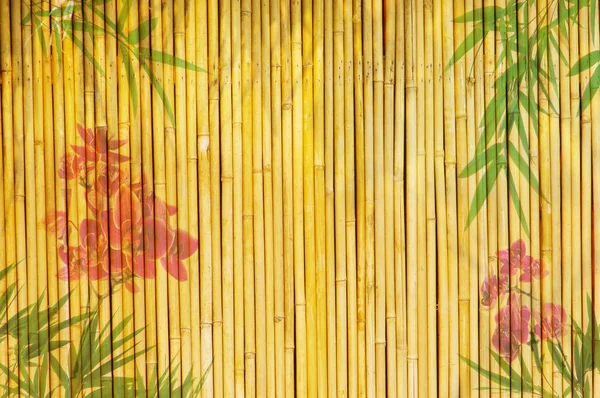 Lotus et fond de bambou — Photo