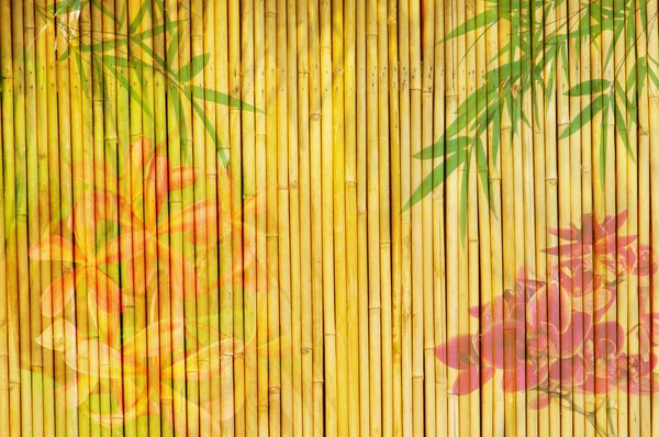 Lotus en bamboe achtergrond — Stockfoto
