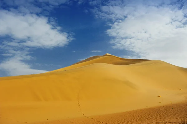 Deșert dune — Fotografie, imagine de stoc