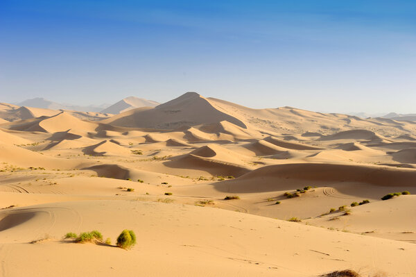 Desert dune
