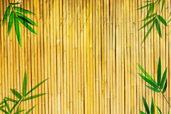 Licht goldenen Bambus Hintergrund ideal für jedes Projekt. Rahmen aus Bambus-Blättern — Stockfoto