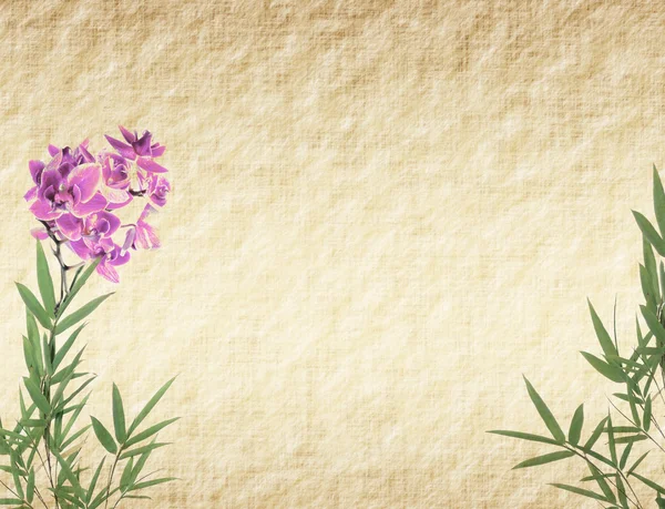 Orquídeas con hojas de bambú en textura de papel antiguo grunge viejo —  Fotos de Stock