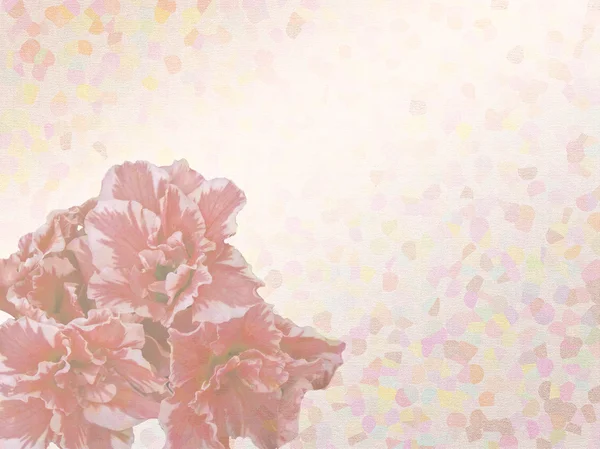 菊と抽象的な塗られた背景の設定 — ストック写真