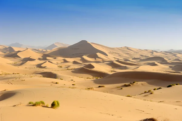 Пустеля Дюна Ліцензійні Стокові Фото