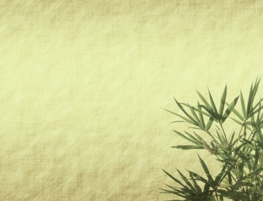 Orkide bambu yaprakları eski doku Antik Kağıt üzerinde