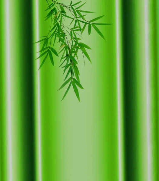 Каркас бамбукового листа — стоковое фото