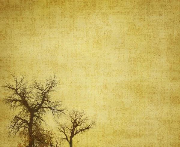 Árvore com grunge velho textura de papel antigo — Fotografia de Stock