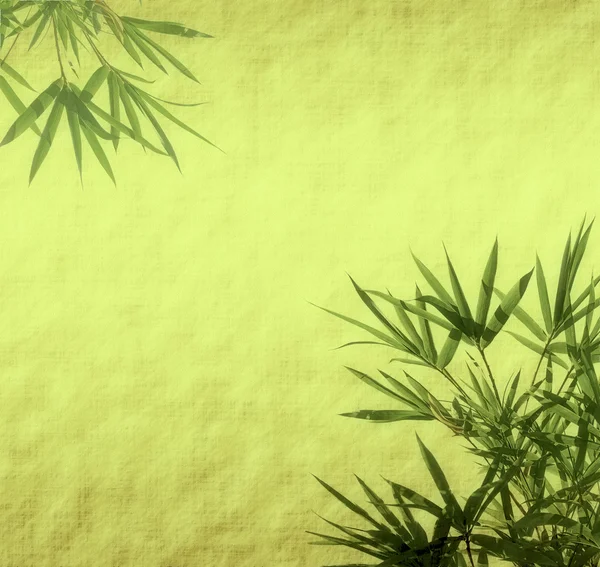 アンティーク古いグランジ テクスチャに竹と蘭の葉します。 — ストック写真