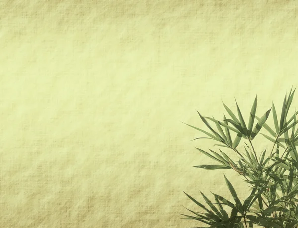 Orhidee cu frunze de bambus pe textura veche de hârtie grunge — Fotografie, imagine de stoc