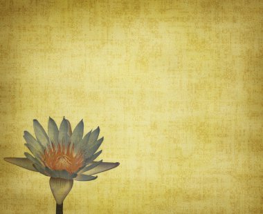Lotus with set of abstract painted background clipart