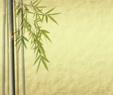 Orchids with bamboo leaves on old grunge antique paper texture clipart