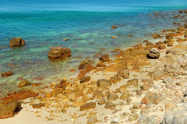 Vista su una bellissima attrazione naturale delle barriere coralline . — Foto Stock