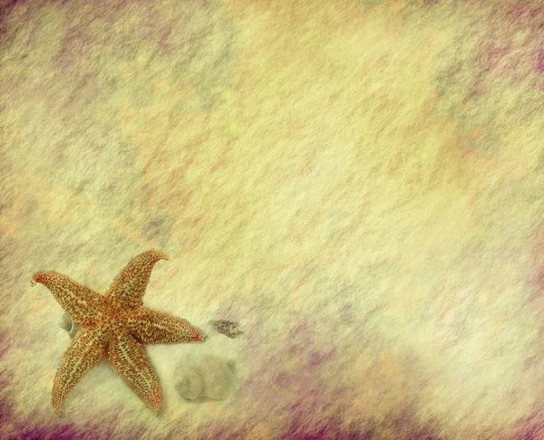 Starfish with old grunge antique paper texture — Stock Photo, Image