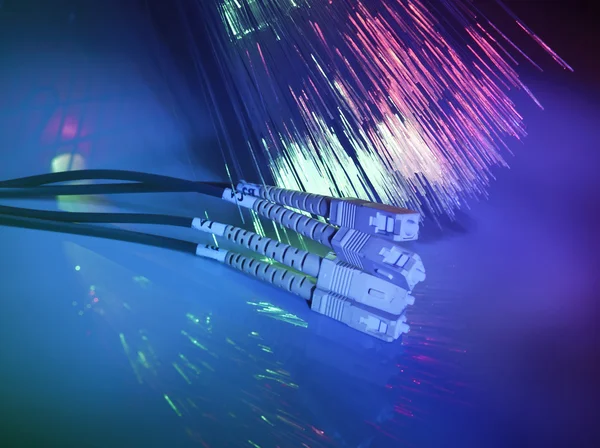 Câble réseau fibre optique — Photo