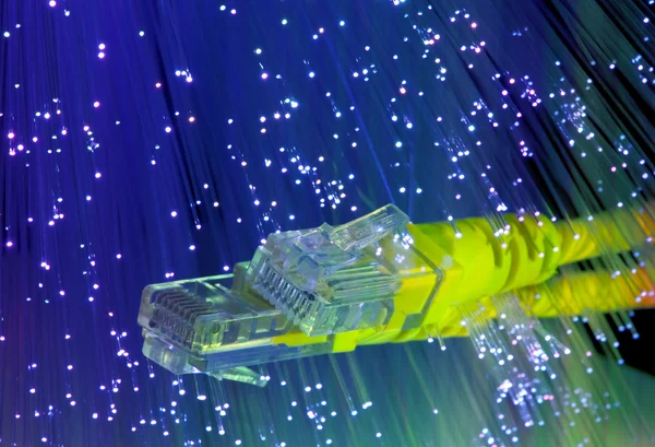 Cabo de rede óptica de fibra — Fotografia de Stock