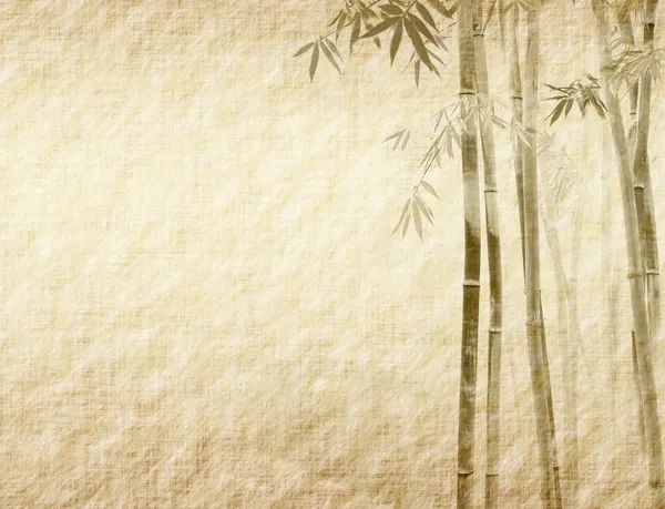 오래 된 질긴 종이 질감에 대고 있는 대나무 — 스톡 사진