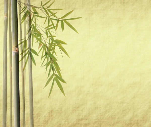 Orchidées avec feuilles de bambou sur vieux papier grunge texture antique — Photo